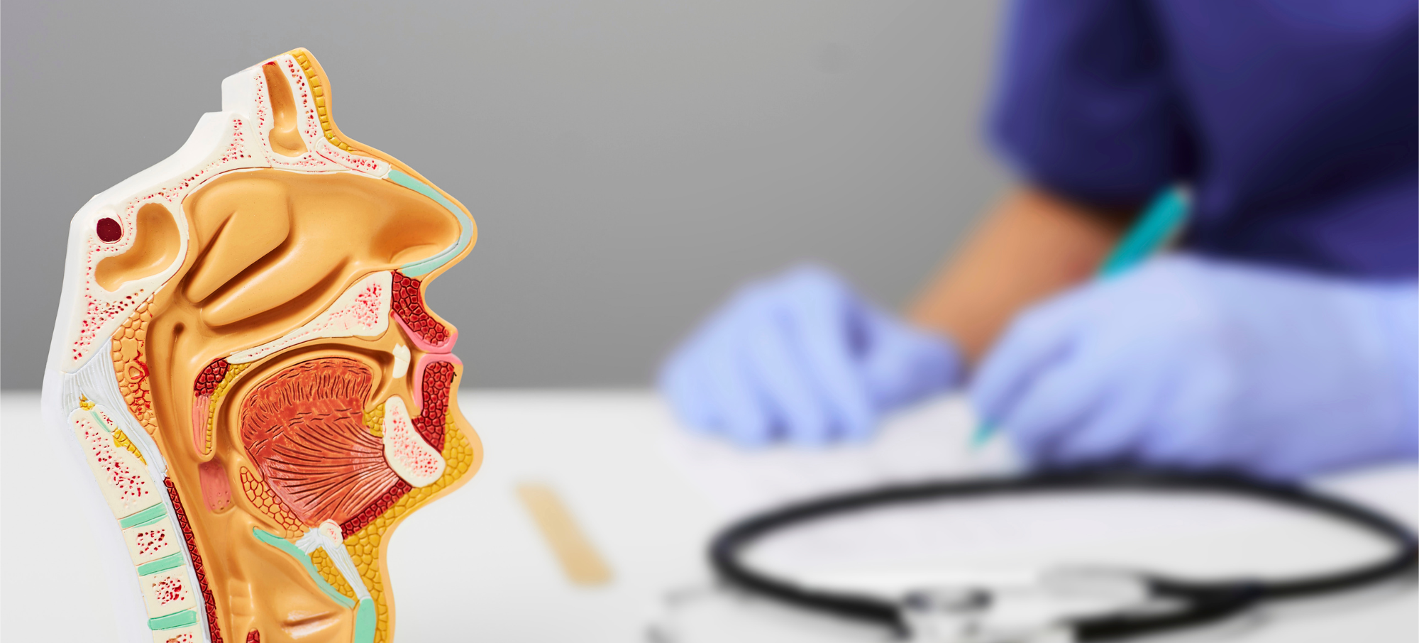 Ent Case Study Image