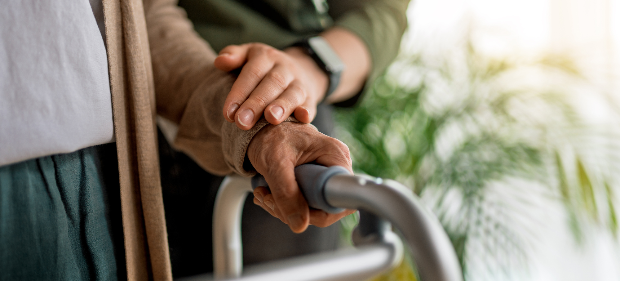clinician helps patient with walking frame